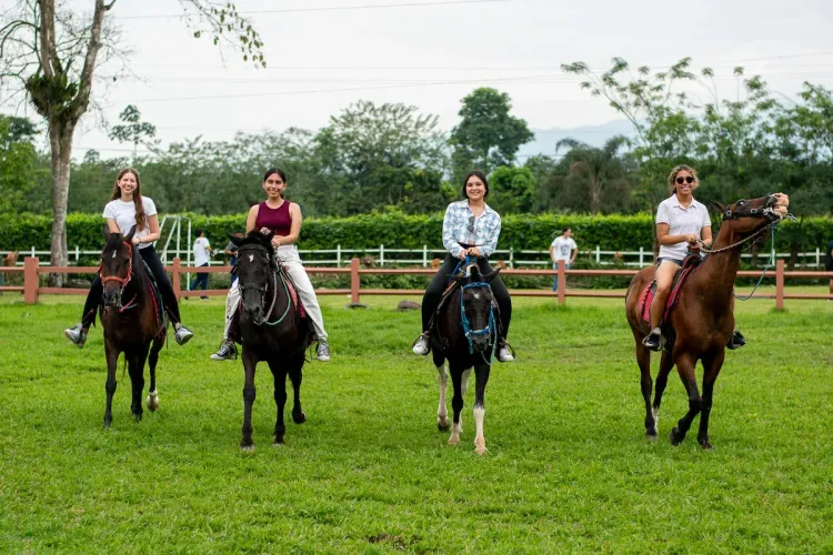 Foto de promoción 50